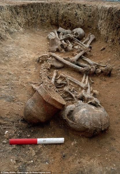 Double “Beaker burial” excavated at Trumpington Meadows, Cambridge by the Cambridge Archaeological Unit. Laid head-to-toe, the grave is that of a 16–18 year-old female, and a 17–20 year-old male. The grave dates to between 2000 and 1950 BC and, characteristic of the period, each was accompanied by a fineware beaker. A DNA analyses of the pair are included in the study. Dave Webb, Cambridge Archaeological Unit.