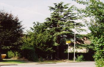 Looking west across Shelford Road at the location of Addenbrooke�s Road junction, towards 110 Shelford Road. Photo: Andrew Roberts, 30 September 2007.
