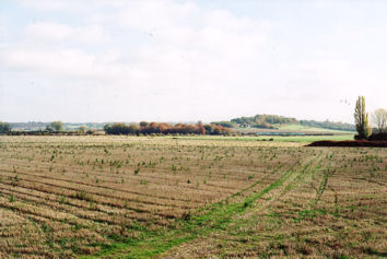 Looking to the east across the Showground fields towards the railway and Nine Wells. Photo: Andrew Roberts, 2 November 2007.