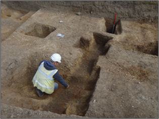 Middle Saxon palisade being excavated, Anstey Hall Farm excavation. Oxford Archaeology East.