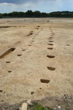 Lines of Bronze Age post holes on the Bell School archaeological site. Photo: Andrew Roberts, 25 July 2014.