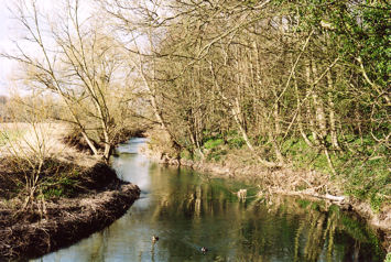 Looking downstream along the riverside footpath at Byron’s Pool. Photo: Andrew Roberts, March 2008.