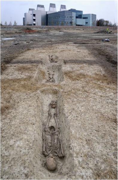 Burials from Cemetery B on the AstraZeneca North site. Cambridge Archaeological Unit.