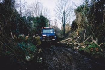 Initial clearance of the railway cutting embankment, February 2008.