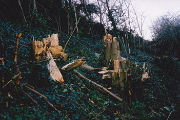 Initial clearance of the railway cutting embankment, February 2008.