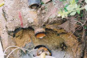 A mysterious water pipe in the railway cutting under Hauxton Road bridge, June 2010.