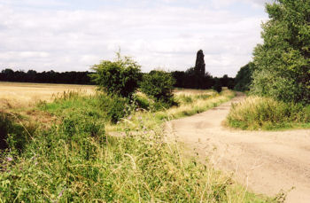 Along the line of the old railway, looking north east from the crossing point with the track from the allotments to Addenbrooke’s Hospital, before work starts on the Guided Busway. Photo: Andrew Roberts, August 2007.