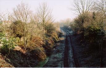 Looking north east from Shelford Road railway bridge, after the clearance of the railway cutting, frosty morning. Photo: Andrew Roberts, 17 February 2008.