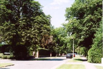 The central part of Chaucer Road, July 2008