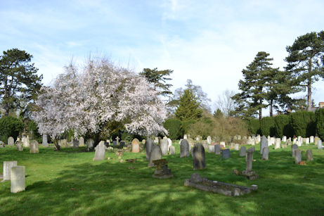 The Trumpington Churchyard Extension, Shelford Road. Photo: Andrew Roberts, 14 March 2017.