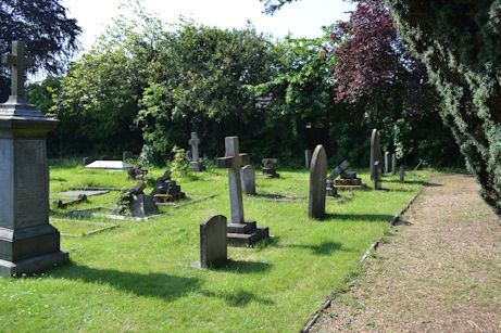 Trumpington Churchyard extension: view towards the Darwin/Raverat memorial (a horizontal stone, third row from path). Photo: Andrew Roberts, 16 May 2014.