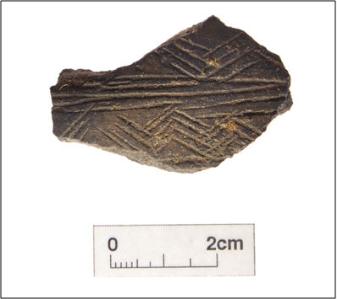 Decorated fineware pottery from the Middle Bronze Age ditch. Oxford Archaeology East, 2011.