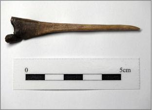 Broken bone needle from the Middle Bronze Age ditch.