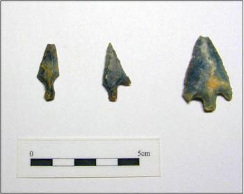 Arrowheads excavated from Clay Farm Settlement 2. Oxford Archaeology East, summer 2010.