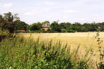 Clay Farm farmhouse and field, Clay Farm, Trumpington, from the eastern end of Wingate Way, with trees along Long Road in the background, August 2007.