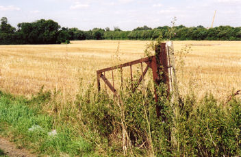 Harvested fields at Clay Farm, to the north of the track from Paget Close to Addenbrooke’s Hospital, near Fawcett School, August 2007.