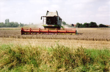 Harvesting the Showground fields, Clay Farm, Trumpington, looking west towards Shelford Road. Photo: Andrew Roberts, August 2007.