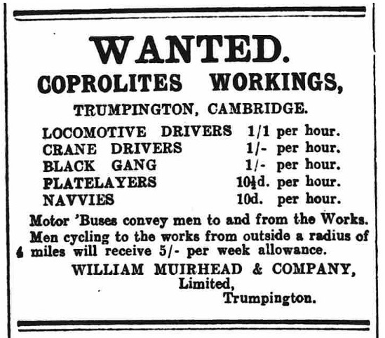 Figure 11: Advert for coprolite workers in Cambridge Daily News, 2 January 1918. The British Newspaper Archive.