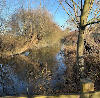 Figure 18: Former coprolite pit, Trumpington Meadows Nature Reserve. Photo: Jo Sear.