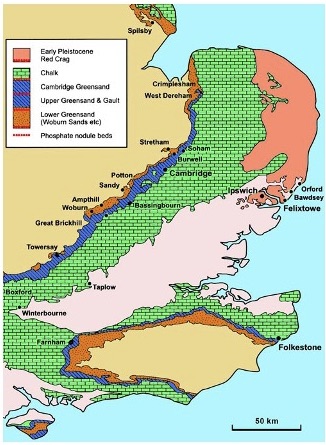 Figure 1: The main outcrops of the coprolite-bearing beds within the Lower Greensand, Gault and Red Crag Series. ‘A vanished industry: coprolite mining’, by T.D. Ford and B. O’Connor (2009), Mercian Geologist 17 (2), p. 96.