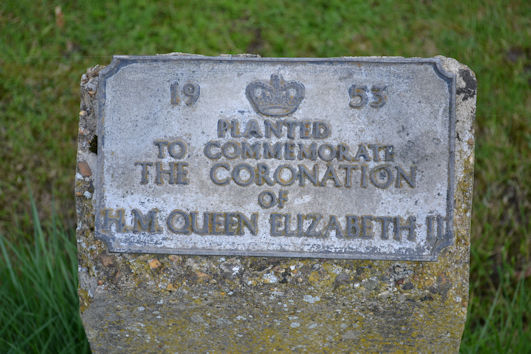 The plaque referring to a tree (now removed) planted to commemorate the Coronation in 1953, on the east side of the road between the Shelford Road and Cambridge Road signs. Photo: Andrew Roberts, 2 April 2017.