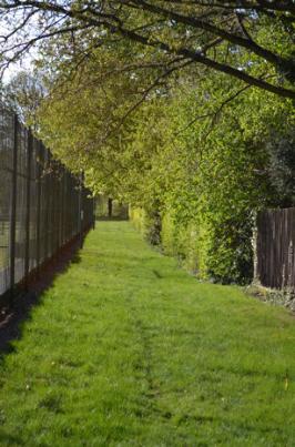 The tennis courts and hedgerow between Latham Road and the rear of Chaucer Road, the site of the Dam Hill finds now in the Fitzwilliam Museum. Photo: Andrew Roberts, 12 April 2011.