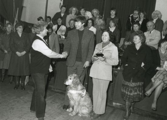 One of five dogs bought and presented to the Guide Dogs for the Blind by the Cambridgeshire Dog Training Club, 1980.