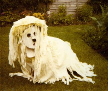 Fancy dress at the 1978 Village Fête.