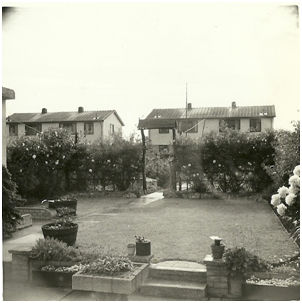 Houses in Byron Square seen from the back garden of 165 Foster Road. The patio, grass and trellis with vegetable patch and chicken pens beyond. Source: Colin Gedge.