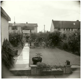 Houses in Byron Square seen from the back garden of 165 Foster Road. The patio, grass and trellis with vegetable patch and chicken pens beyond. Source: Colin Gedge.