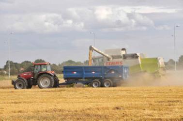 Harvesting on Glebe Farm, looking towards Bishop�s Road, with Addenbrooke�s Road in the background. Photo: Stephen Brown, 11 August 2008.