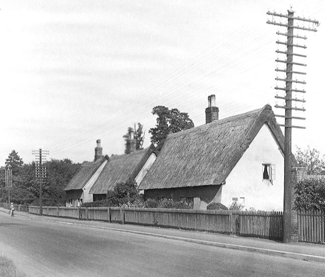 Thatched cottages in the High Street, between Wingate Way and Alpha Terrace, before 1963 when the houses were demolished and replaced with 37-43 High Street. Photo: Josephine Kitson. Reproduced in Trumpington Past & Present, p. 66.
