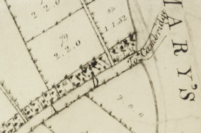 Detail from A Map of the Parish of Trumpington in the County of Cambridge, 1804