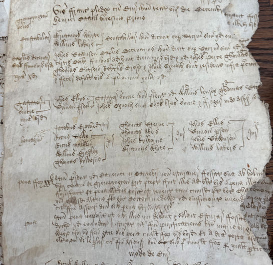 Figure 7: Extract from a court leet roll with view of Frankpledge for the manor of De la Poles for 8 December 1529. Trinity College (Cambridge) Archive. Photo: Jo Sear, 2024.