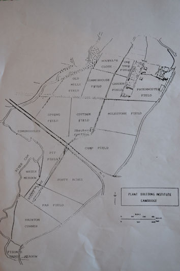 Map with PBI field pattern and field names. Source: Michael Hendy.