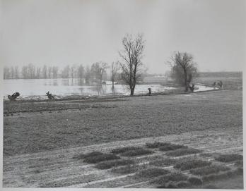 Flooded fields, Plant Breeding Institute, May 1978. Source: Plant Breeding Institute, negative number 12807, Michael Hendy.