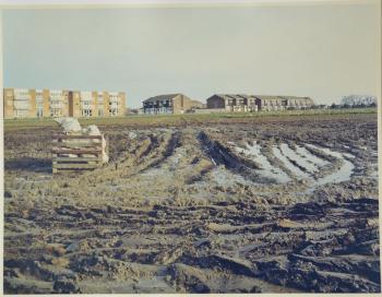 Looking across PBI fields to Bishop's Court and Bishop's Road, c. 1983. Source: Plant Breeding Institute, negative number 29289, Michael Hendy.