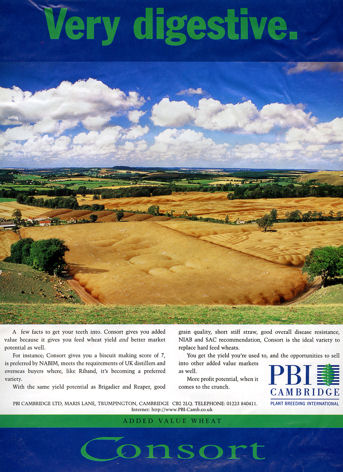 Advertisement for Consort wheat. Source: Plant Breeding International Cambridge