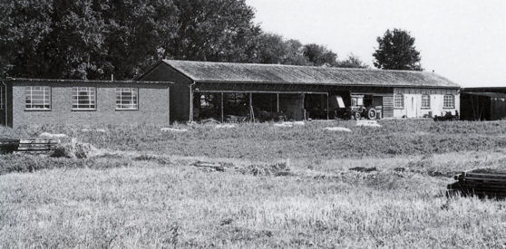 The Plant Breeding Institute Field Station, Cage Field, University Farm, Cambridge, c. 1952. Source: Plant Breeding Institute.