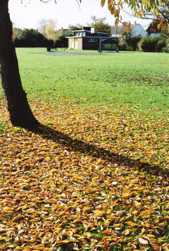 Fallen leaves and the Pavilion, King George V Playing Field, November 2007. Photo: Andrew Roberts.