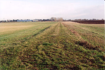 Looking east across the Trumpington Meadows parkland along the old railway line towards Hauxton Road. Photo: Andrew Roberts, December 2010.