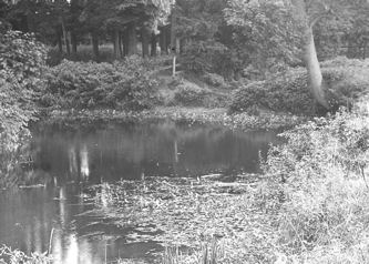 Byron’s Pool in the 1920s. From a photograph used by Percy Robinson during lectures in the 1920s-1940s.
