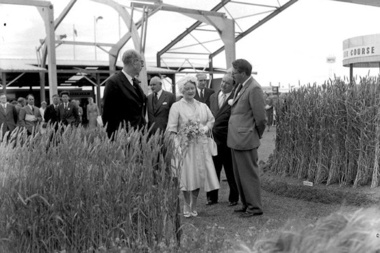 The Queen Mother at the Royal Show, 1961, with Christopher Dadd talking to the Queen Mother, a senior member of the Agricultural Advisory and Development Service (ADAS). Cambridge Evening News.