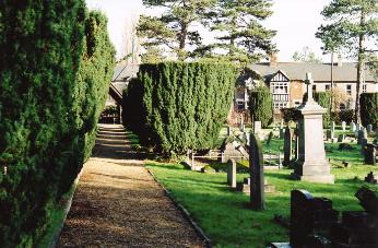 Looking across the cemetery, along the line of yews towards Shelford Road. Photo: Andrew Roberts, 27 January 2008.