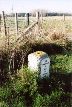 Milestone on the Stump Cross Turnpike Road: the fifth to the north of Sawston. Photo: Andrew Roberts, January-February 2008.