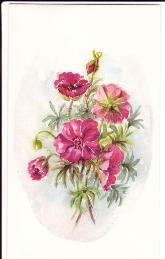 Flower painting by Mary Smith, cranesbill.