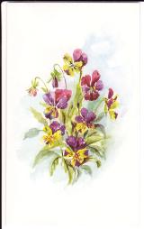 Flower painting by Mary Smith, pansy.