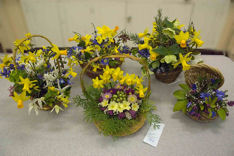 Spring Show 2007: entries in the 'Basket of Flowers' class. Photo: Stephen Brown.