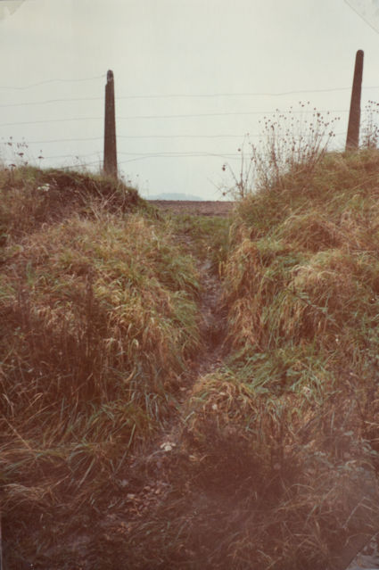 36: A path to the arable land with Wandlebury in the distance. Pam Stacey, 8 December 1984.