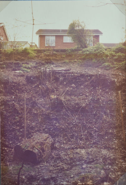52: These banks have been cleared and perhaps will be planted at a later time. Pam Stacey, 28 April 1985.